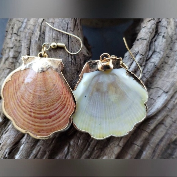 Scallop Seashell Earrings with Golden Dipped Edges - Picture 2 of 3